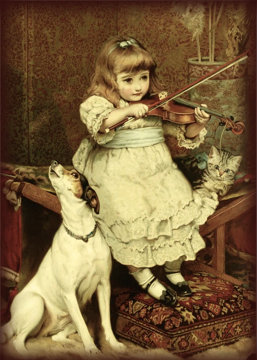 初心者から楽しく学べるバイオリン教室 イーハトーヴ相模大野 体験レッスンについて